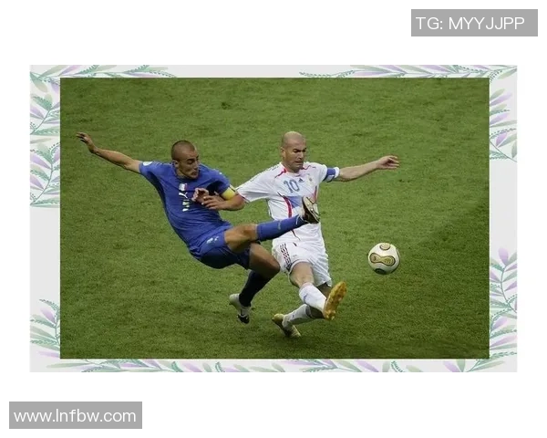 法国花样足球明星的传奇之路与精彩瞬间回顾