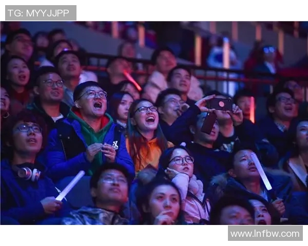 深圳排球队总决赛逆袭之旅背后的奋斗与荣耀揭秘