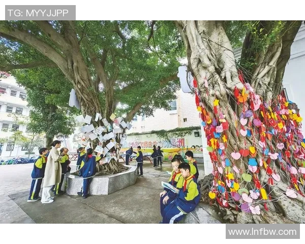 深圳乒乓球队逆袭之旅的挑战赛特别报道与背后故事揭秘