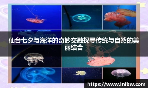 仙台七夕与海洋的奇妙交融探寻传统与自然的美丽结合